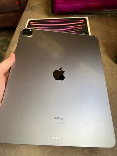 ipad pro 12.9(6th) 256gb