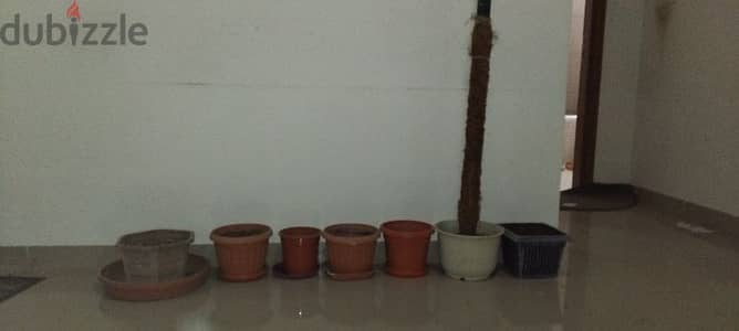 plant pots