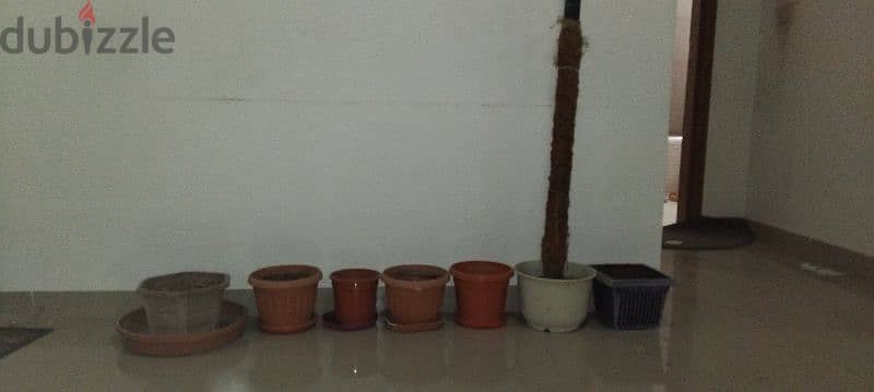 plant pots 0