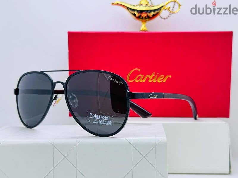 latest sunglass brands 8