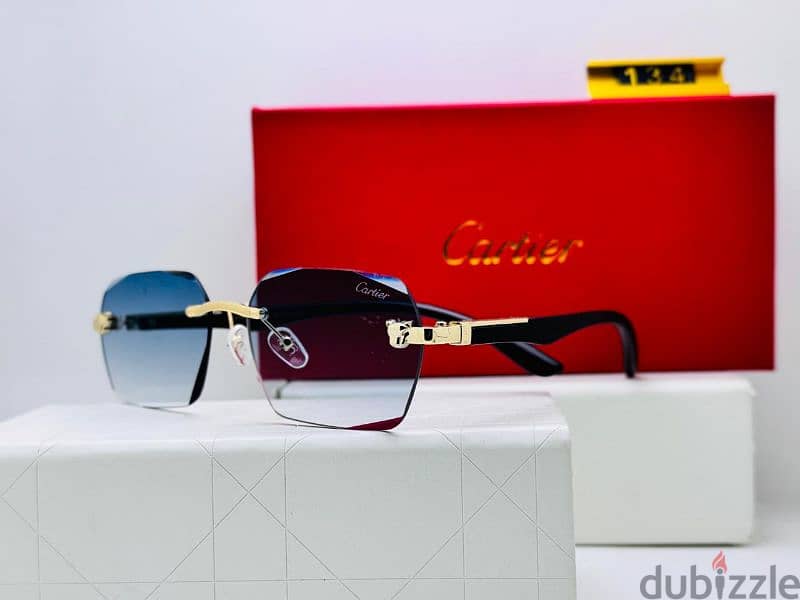 latest sunglass brands 14