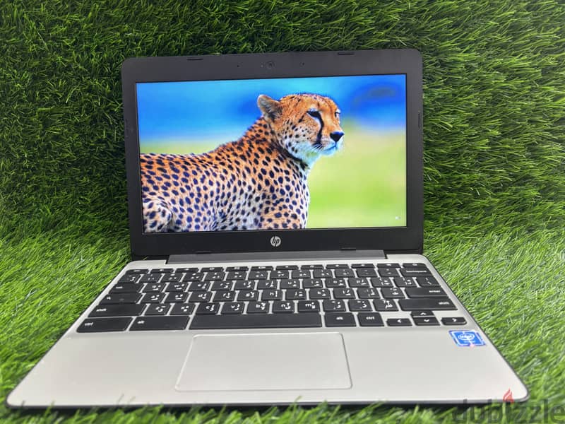 Amazing offer On Hp Android laptop 16 Gb Storage With Neat And Clean 0