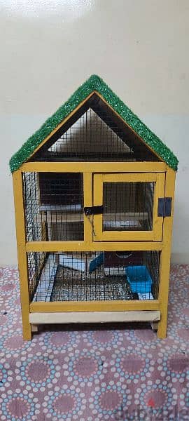 for sale birds and with birds home