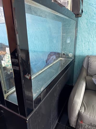 Big Aquarium for Sale