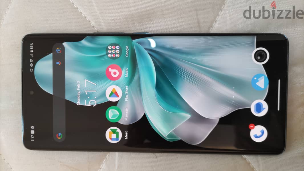 Vivo v30 5