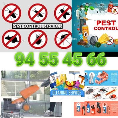 Pest control service with gaurantee  خدمة مكافحة الحشرات مع الضمان