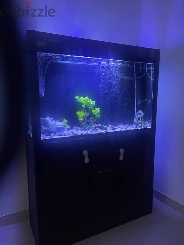 fish tank  for sale coming with fish and decorations  and oxygen tank 1