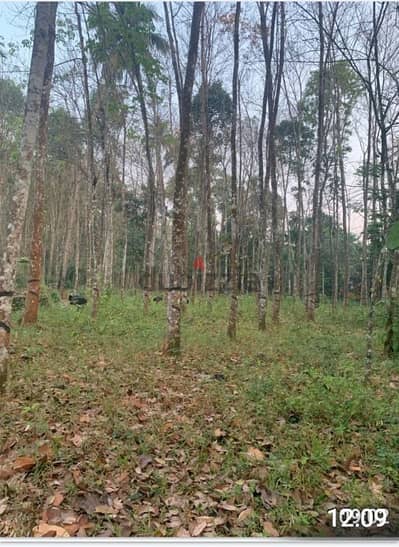 plot for sale konni, kerala.