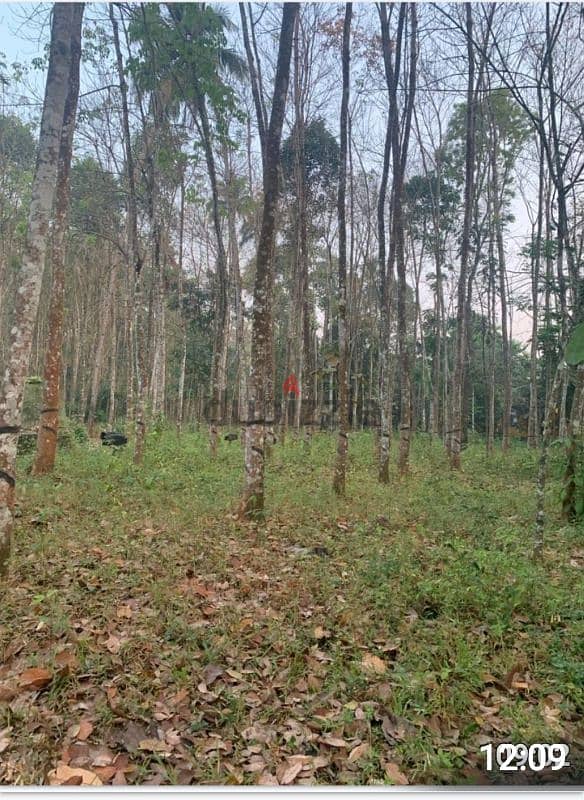 plot for sale konni, kerala. 0