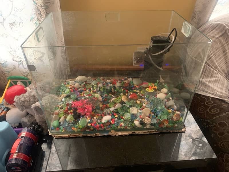 aquarium with accessories 1