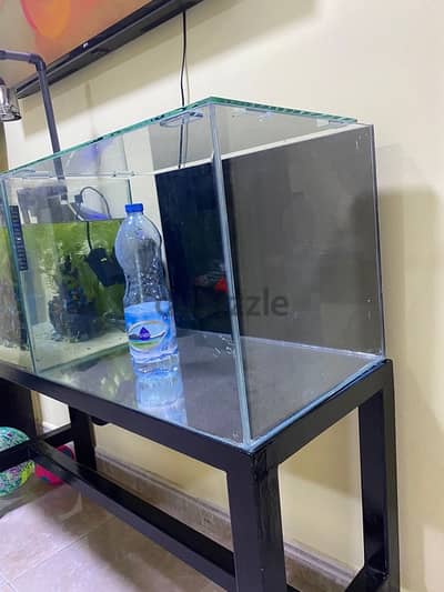 New 90 liter aquarium with Lid