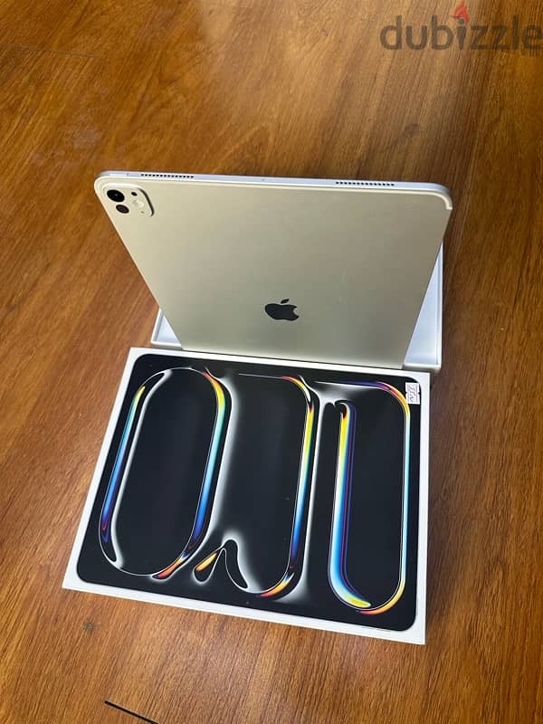 Ipad Pro 13 inch M4 256GB 10 months warranty remaining 2