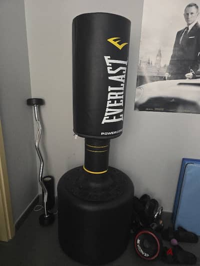 Everlast standing boxing bag