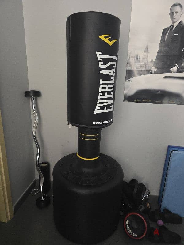 Everlast standing boxing bag 0