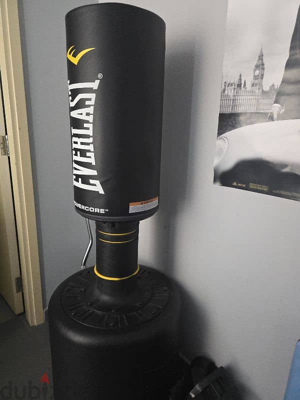 Everlast standing boxing bag 1