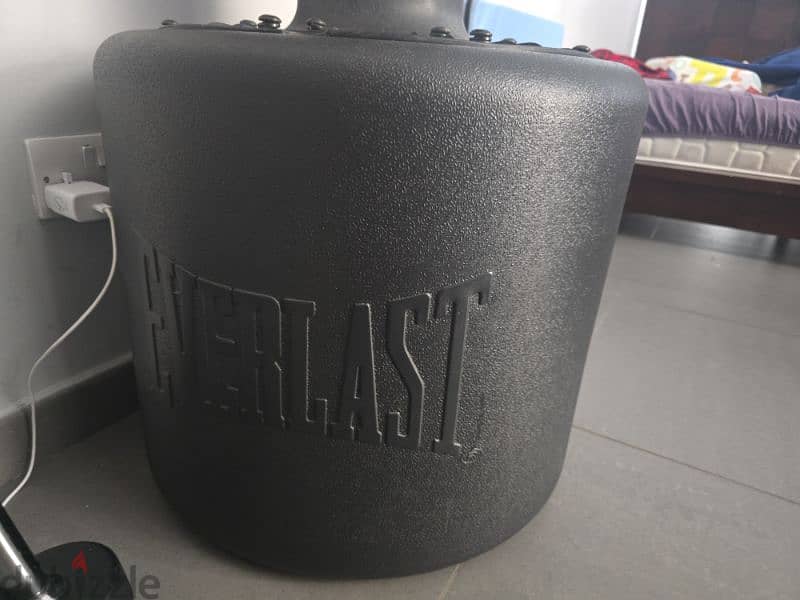 Everlast standing boxing bag 4