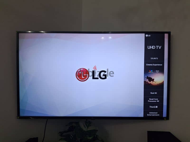 LG 55 inch 0