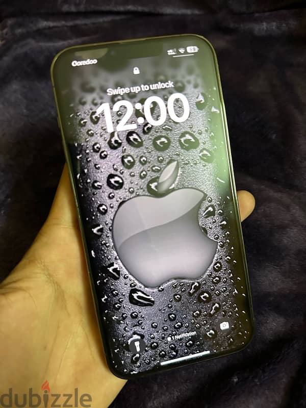 i phone 13 pro max 256 11