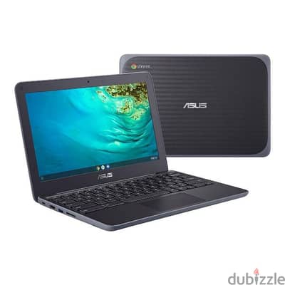 ASUS Chromebook C202s