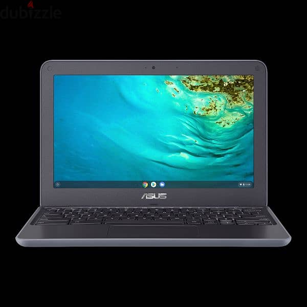 ASUS Chromebook C202s 6