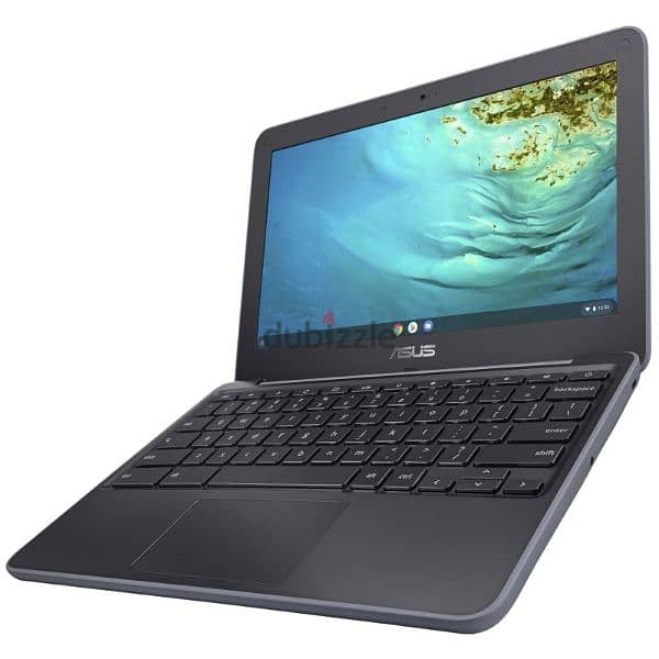 ASUS Chromebook C202s 7