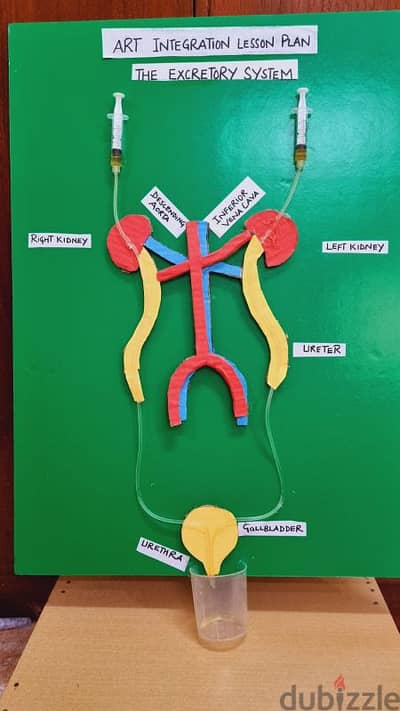 Science Project 6th Grade Class