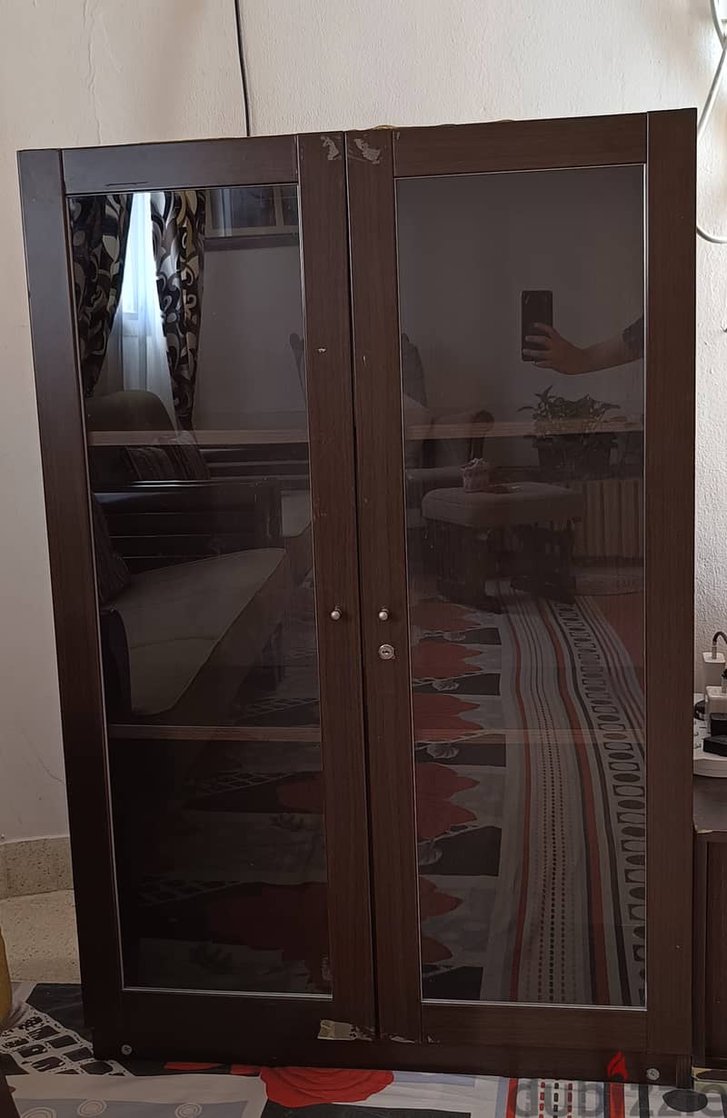 GLASS CUPBOARD WITH STORAGE SHELVES 0