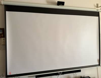 100” projector screen