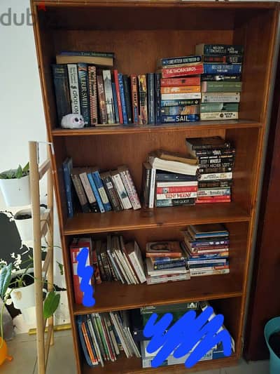 Bookshelf with books