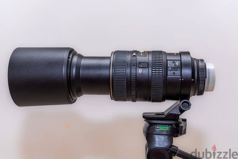 Nikon 80-400 1