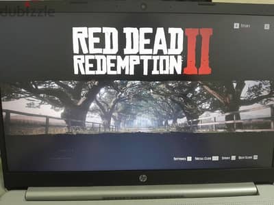 Red dead redemption 2 + Red dead Online