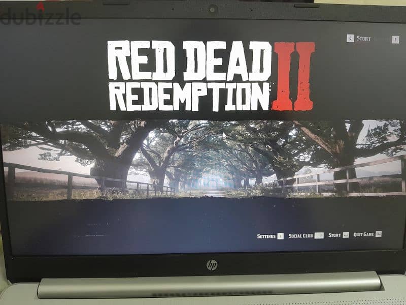 Red dead redemption 2 + Red dead Online 0