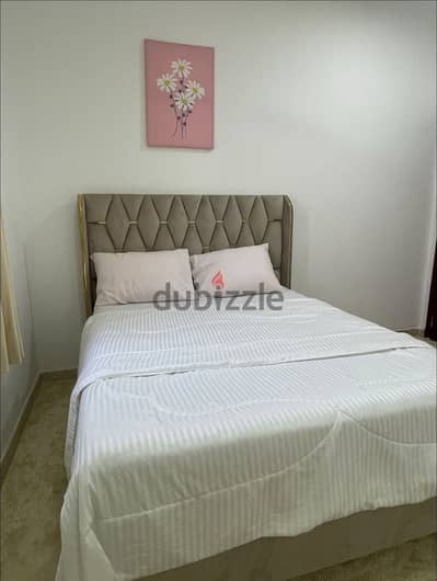 one studio ful furnished apartment daily and monthly bases