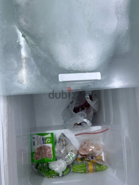 freezer 1