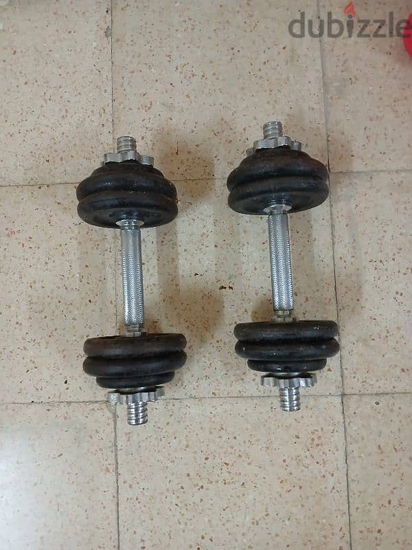 dumbells and pull up 1