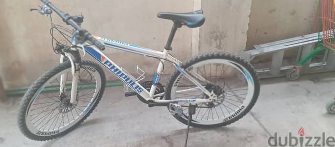 BMX cycle phipulis