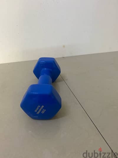 1piece dumbbell sports champion 4kg weight