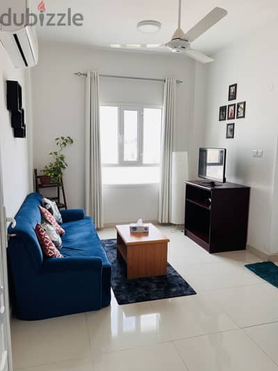 Flat for rent ,February 23 to April 15 ( 1 month or 45 days)