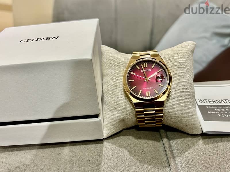 Citizen tsusoya watch 4