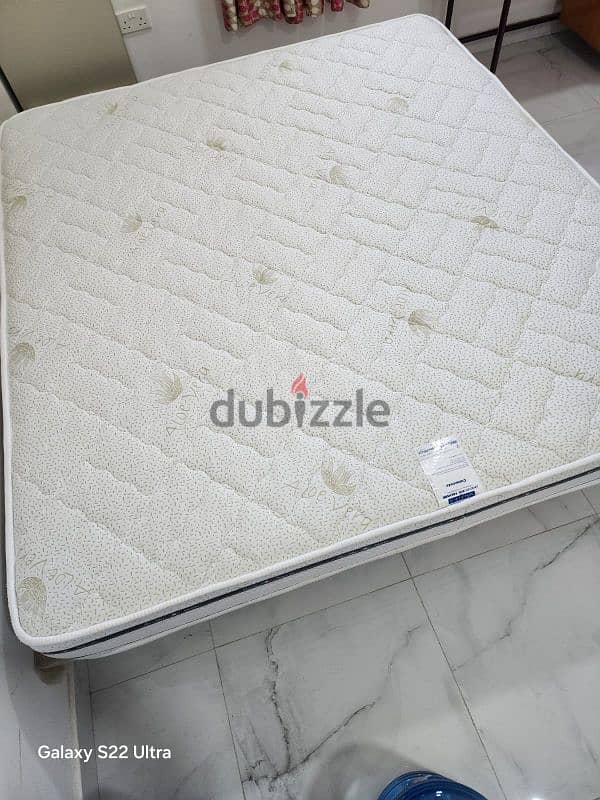 Camerota Mattress, Ortho Bed 3