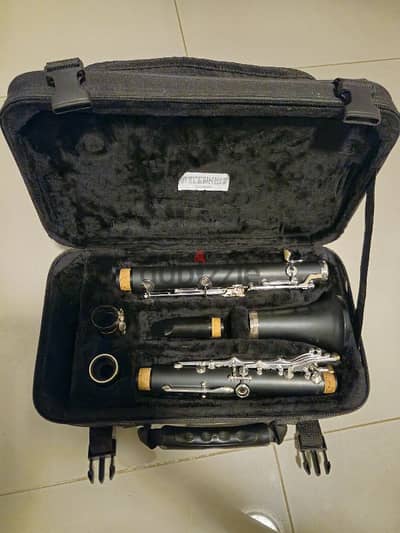 Professional Clarinet (Howarth London)