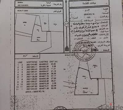 ابو النخيل زراعية خلف حديقة النسيم فرصة ما تتفوت