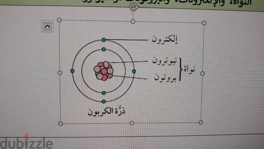 مسقط -عمان