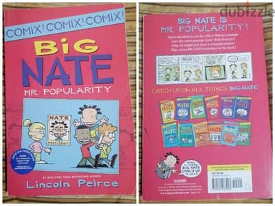 big nate book