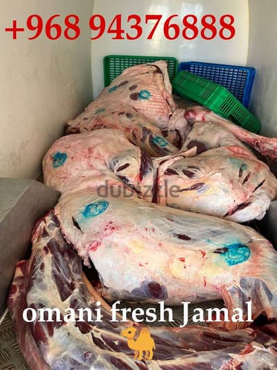 best food meat fresh fresh camel