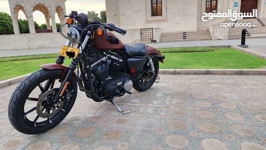 Harley Davidson iron 883هارلي ديفيدسون