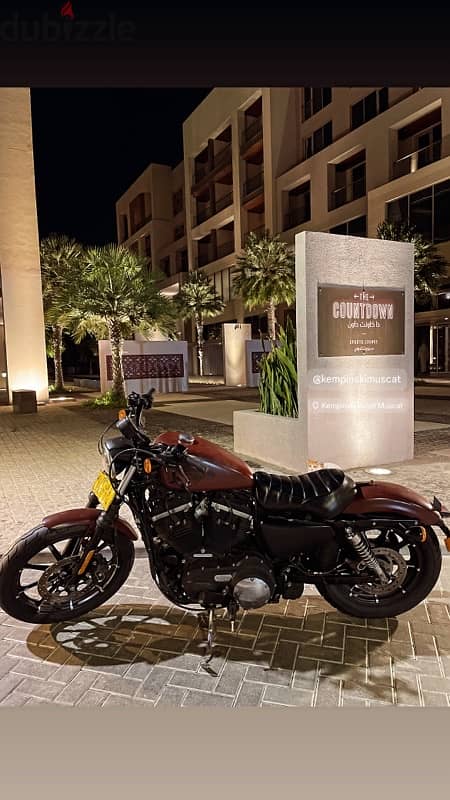 Harley Davidson iron 883هارلي ديفيدسون 3