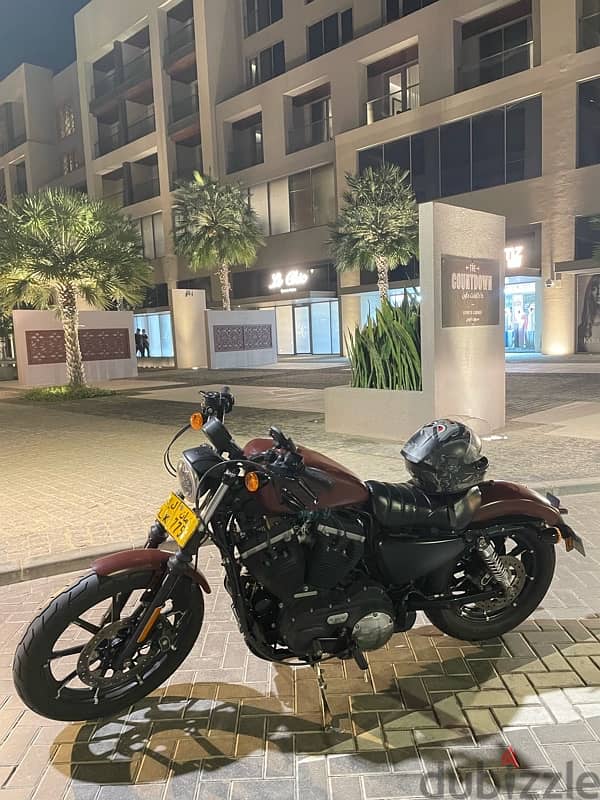 Harley Davidson iron 883هارلي ديفيدسون 7