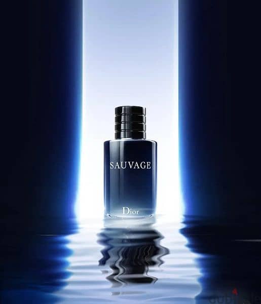 Dior Sauvage EDT 100ML 1