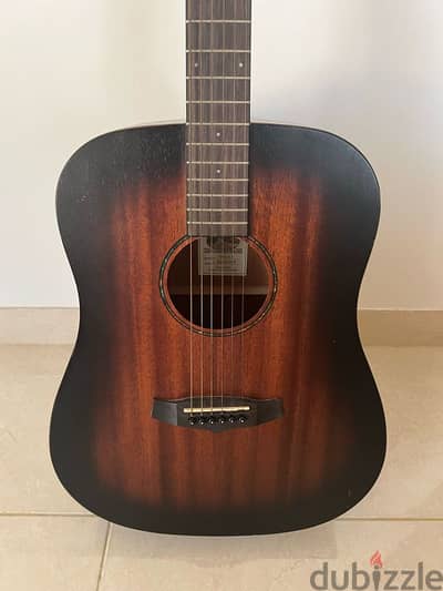 Acoustic/Electric Guitar